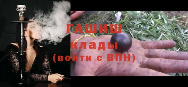 гидра Михайловка