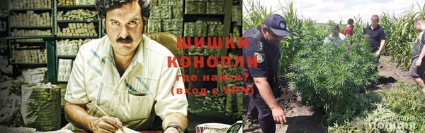 гидра Михайловка