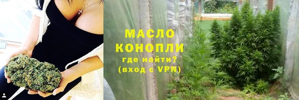 гидра Михайловка