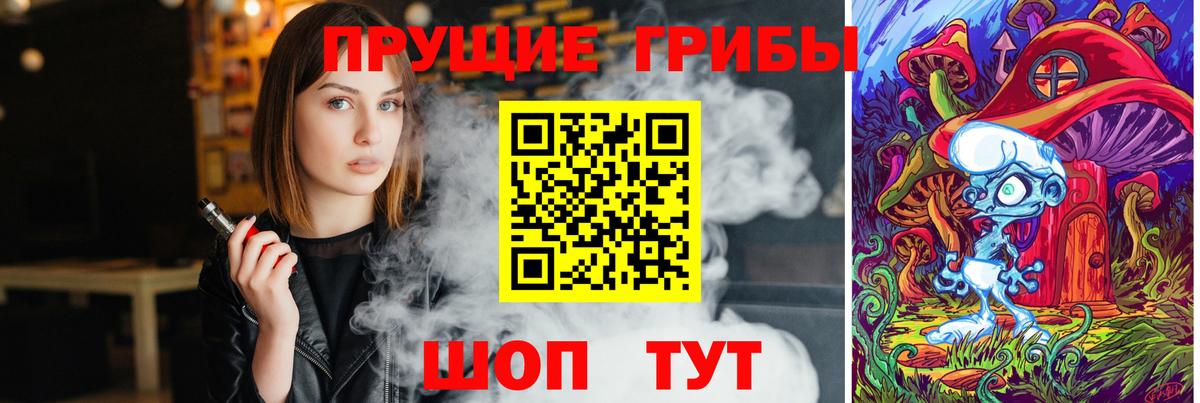Псилоцибиновые грибы Psilocybine cubensis Ялта